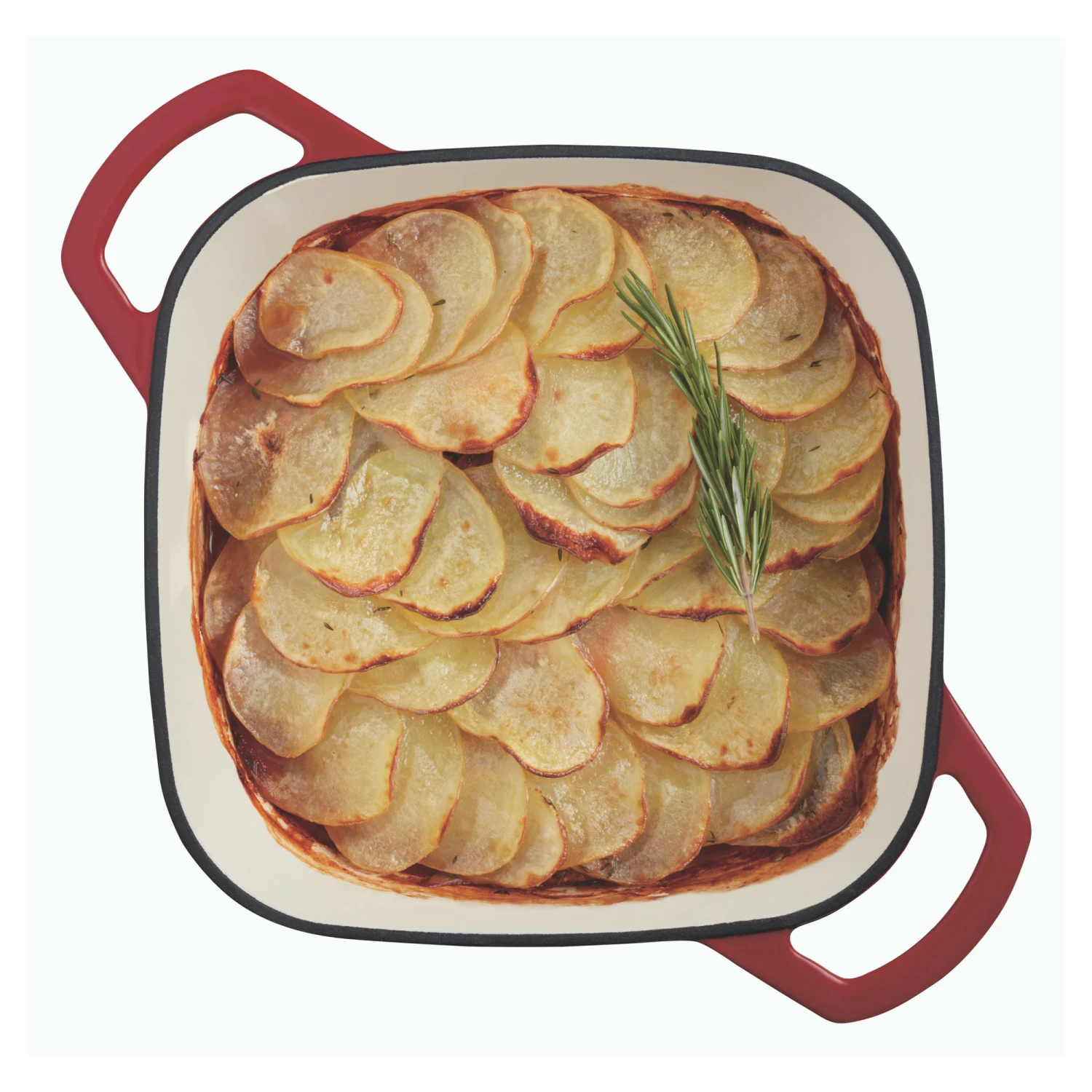 Paderno Cookware Dutch Oven 6.5 Quarts, Red | Cocotte En Fonte 6.5 Pintes, Rouge 8 Paderno Cookware Dutch Oven 6.5 Quarts, Red | Cocotte En Fonte 6.5 Pintes, Rouge